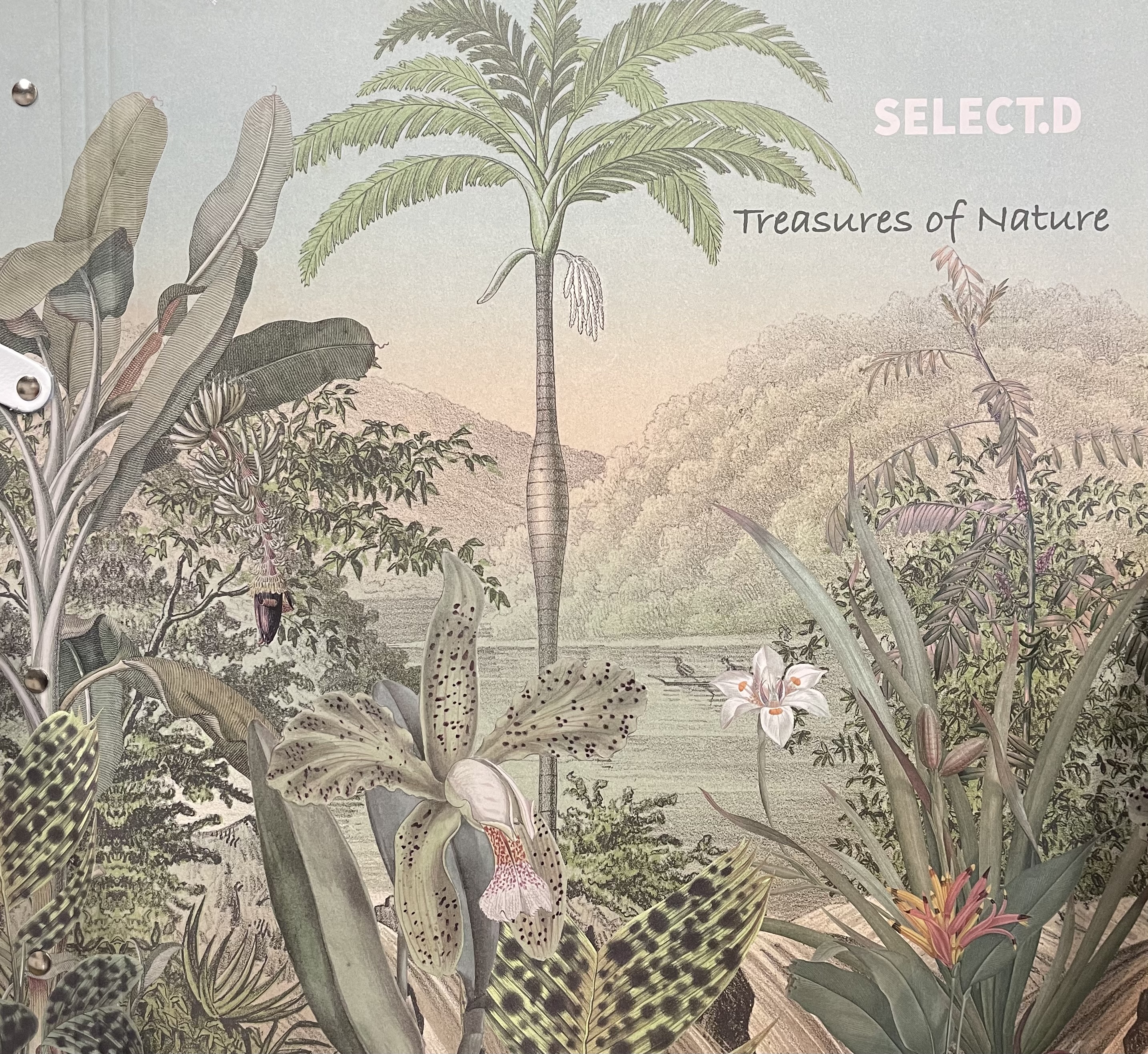 Root categorie - Treasures of Nature - Murals