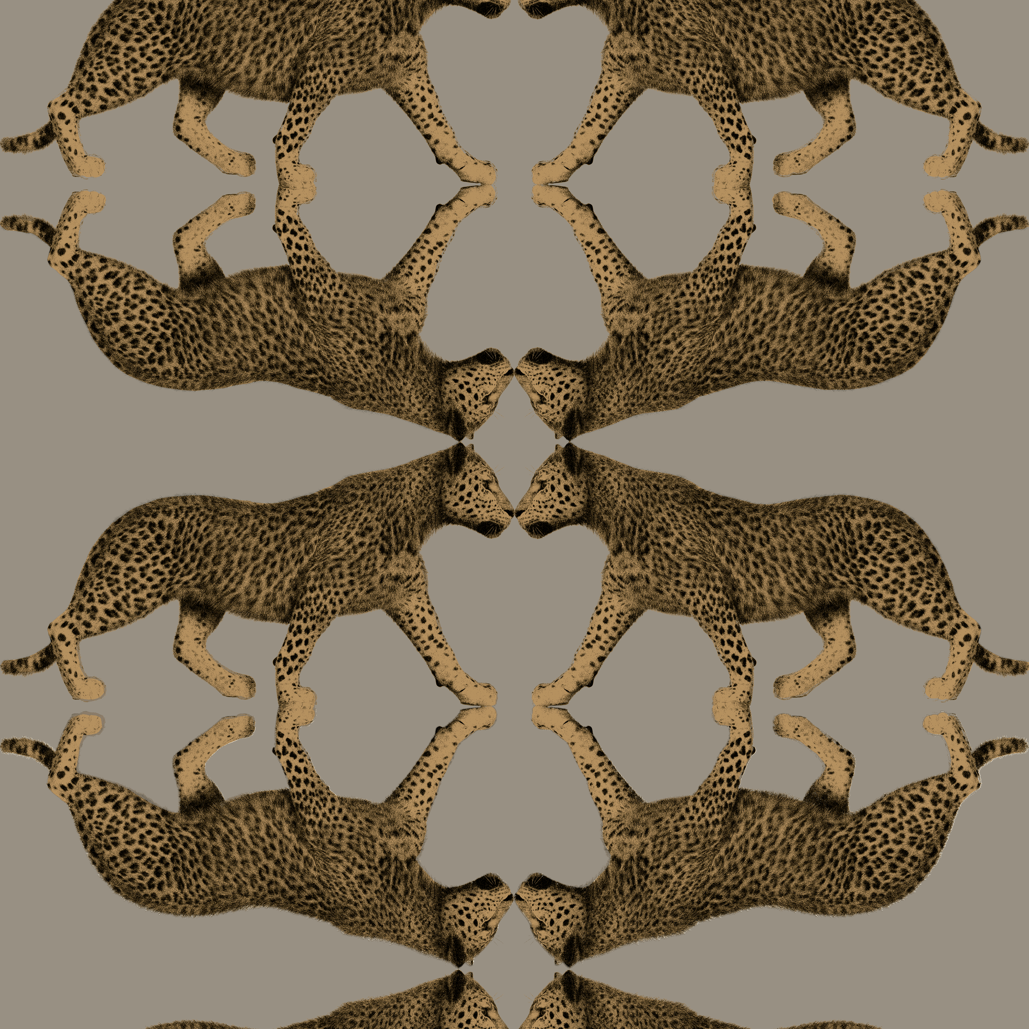 Wallpaper - Leopard Walk