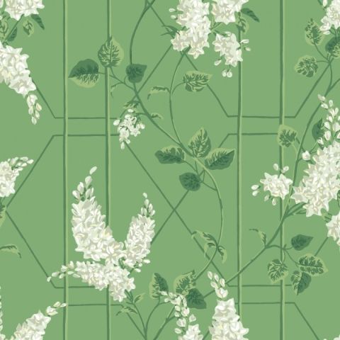 Cole & Son Botanical ~Botanica~ Wisteria Wisteria Floribunda 115/5016