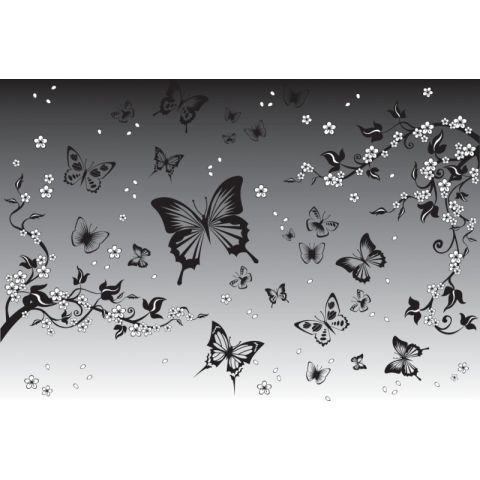 Butterflies