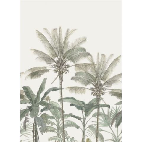 Esta Paradise - Botanical Palm Trees 158947