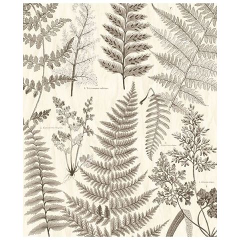 Eijffinger Geonature Herbarium Black