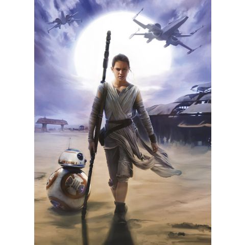 Star Wars Rey 4-448