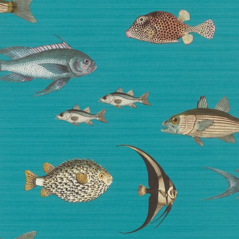 Studio Onszelf Stories - Sea Fish 553536