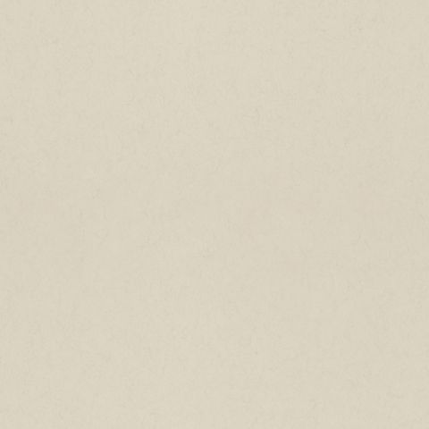 Dutch Wallcoverings First Class - Elements - Vide Uni White Pepper 77014