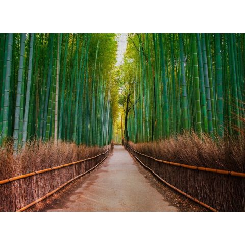 AS Creation Designwalls - Bamboo Walk