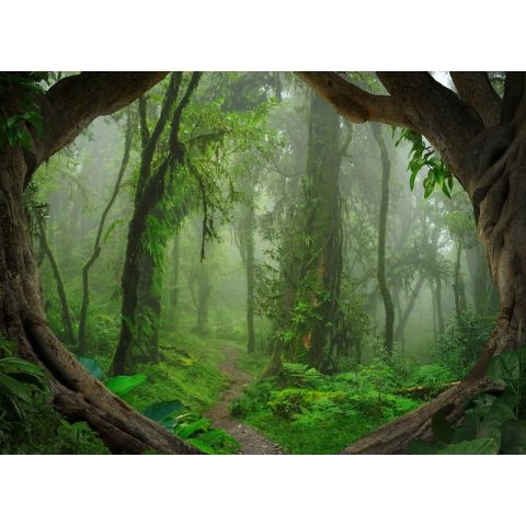 AS Creation Designwalls - Tropical Forest
