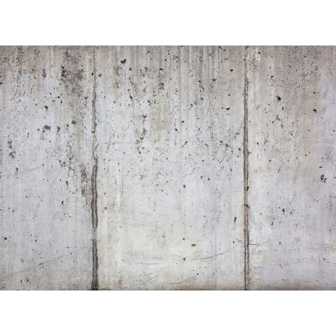 AS Creation Designwalls - Concrete Wall