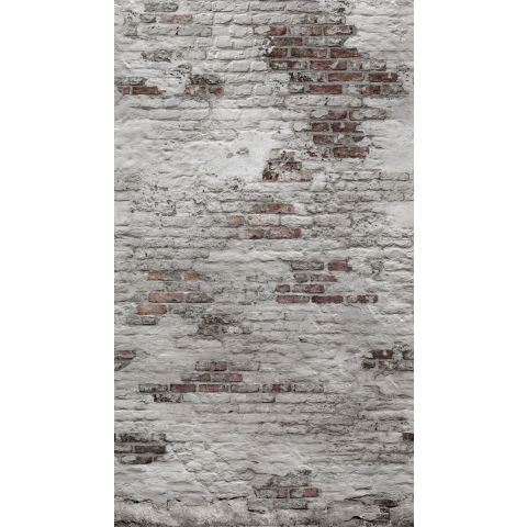 Dutch Wallcoverings One Roll One Motif - Brick EP6102