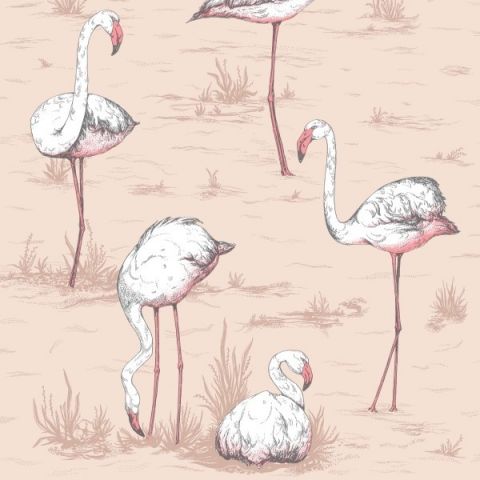 Cole & Son Icons Flamingos 112/11039