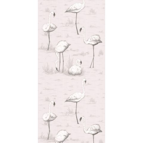 Cole & Son Contemporary  Restyled - Flamingos 95/8046