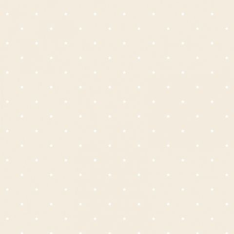 Dutch Wallcoverings - Little Kids- Little Stars beige/wit JR1103