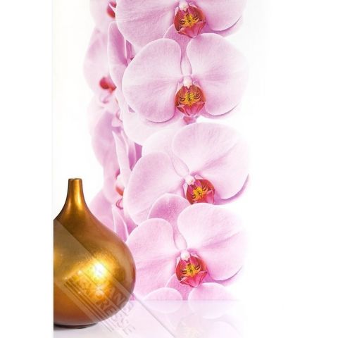 Wallpaper Queen Orchidee ML203