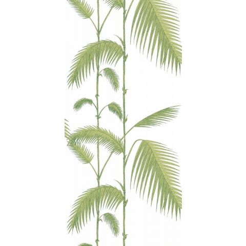 Cole & Son Contemporary  Restyled - Palm  95/1009