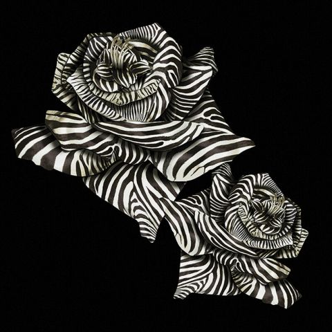 Roberto Cavalli Home 8 Zebra Stripe Rose