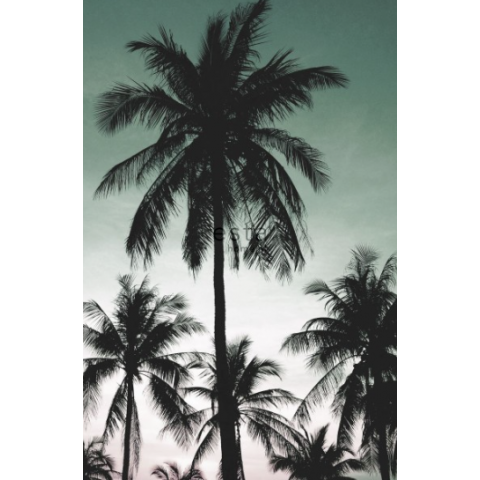 Esta Home - Jungle Fever Palm Trees