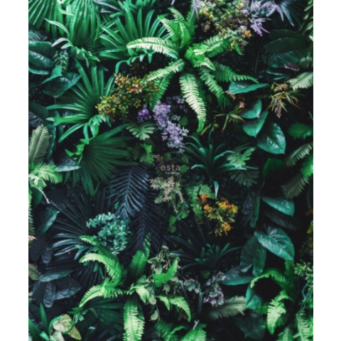 Esta Home - Jungle Fever Tropical Plants