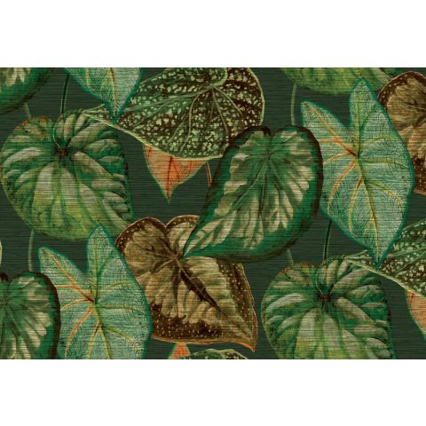 Hookedonwalls Tahiti Tropical Leaves TA25054 