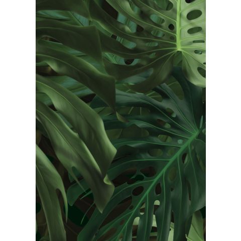 KEK Amsterdam Monstera & Palm Leaves WP-500